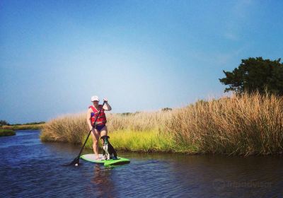 Hatteras Island Ocean Center