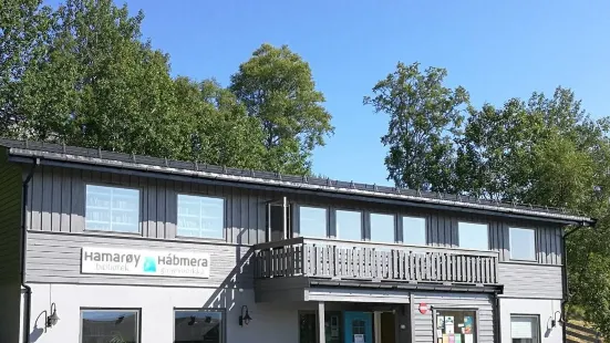 Hamarøy bibliotek