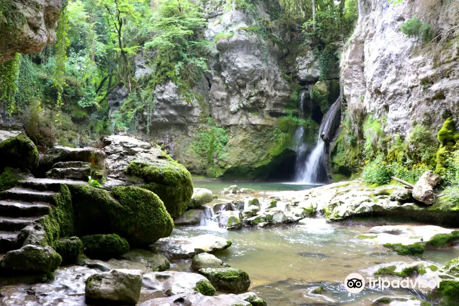 Tine De Conflens