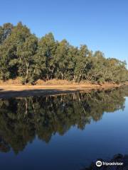 Wiradjuri Walking Track