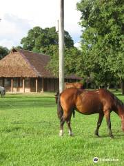 Barba Azul Reserve