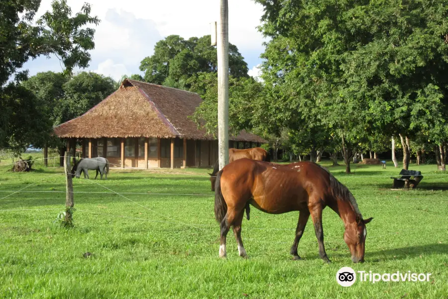 Barba Azul Reserve