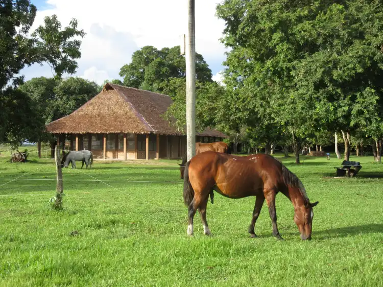 Hotels in Trinidad