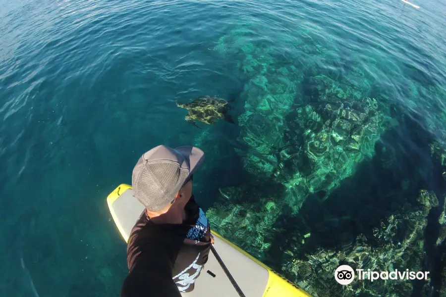 Maui Stand Up Paddle Boarding LLC