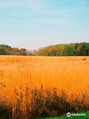 Big Creek State Park