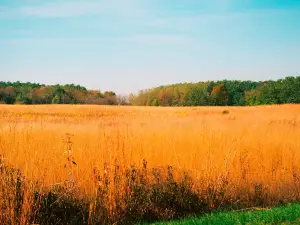 Big Creek State Park