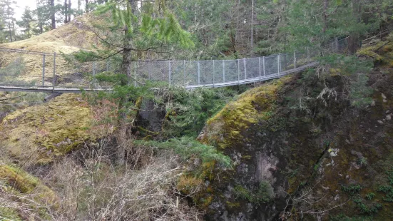 Haslam Creek Suspension Bridge