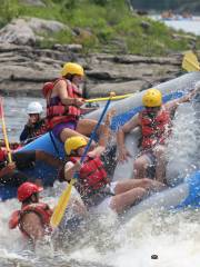 Rafting Momentum