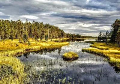 Nordostsavo