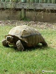 Merced's Applegate Park Zoo