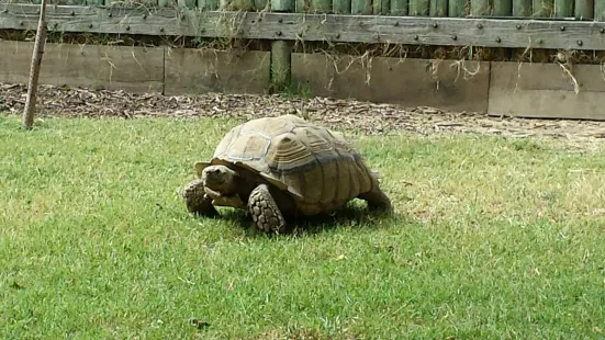 Merced's Applegate Park Zoo