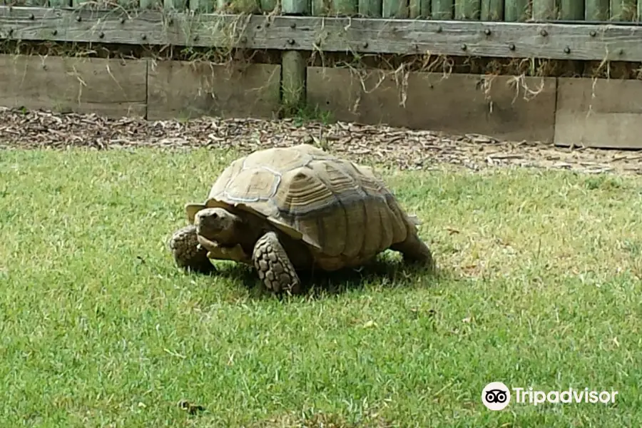 Merced's Applegate Park Zoo