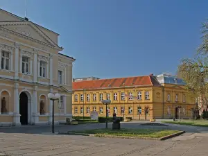 Zorin Dom