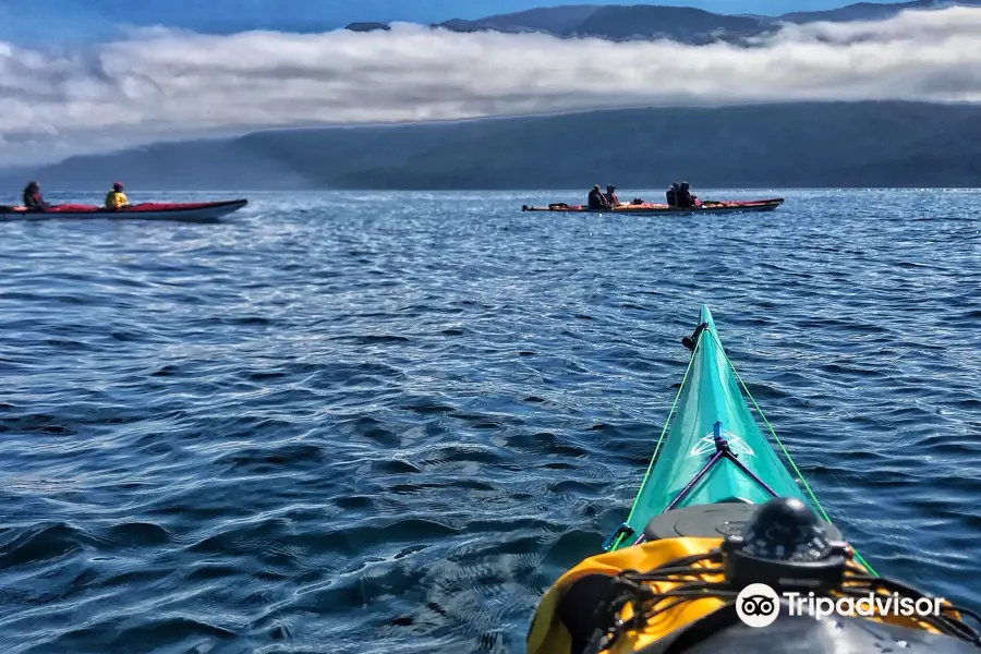 Comox Valley Kayaks & Canoes