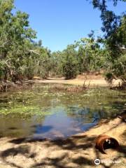 Cape Melville National Park (CYPAL)