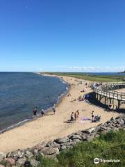 Éco-centre Irving, la Dune de Bouctouche