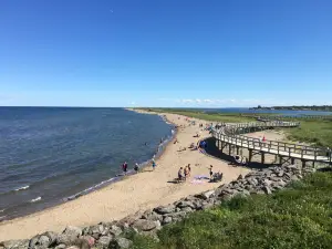 Éco-centre Irving, la Dune de Bouctouche