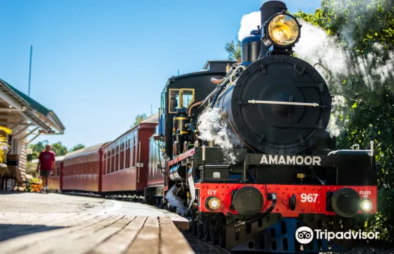 Mary Valley Rattler3 小時往返蒸汽門票（金皮出發）家庭（2位成人+2位小童）