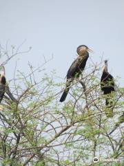 Vettangudi Bird Sanctuary