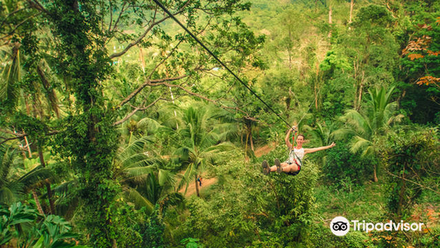 Tree Top Adventure Park Koh Chang