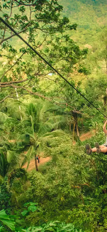 コチャーン樹上散策公園周辺のホテル