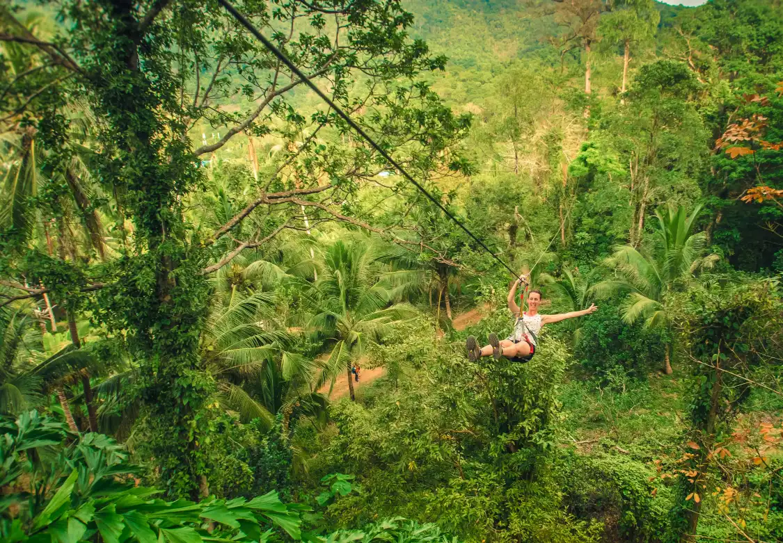Hotel in zona Tree Top Adventure Park