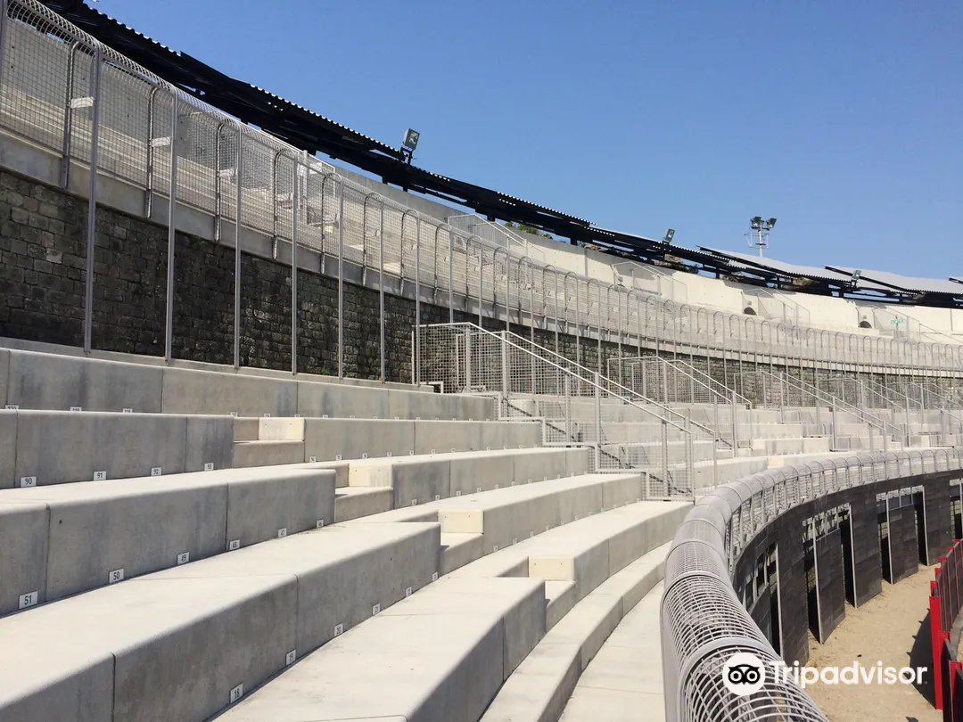 4_Arènes de Fréjus