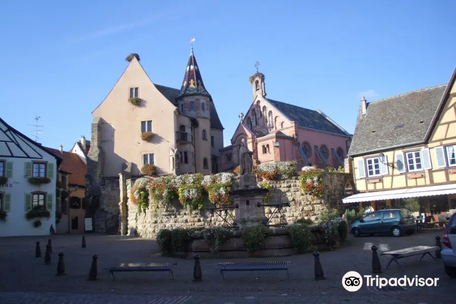 Vins d'Alsace Joseph Freudenreich et fils