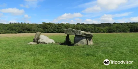 Presaeddfed Burial Chamber