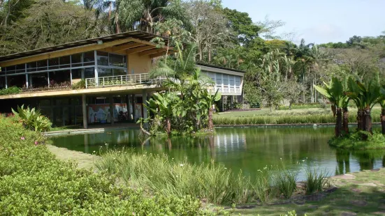 Parque Roberto Burle Marx