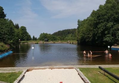 Waldschwimmbad Okerteich