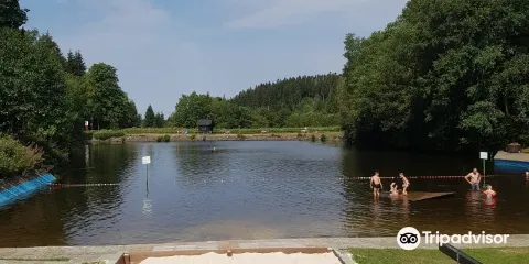 Waldschwimmbad Okerteich