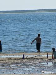 Indian Neck Beach