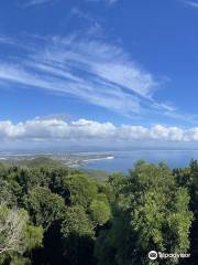 Cape Hawke lookout