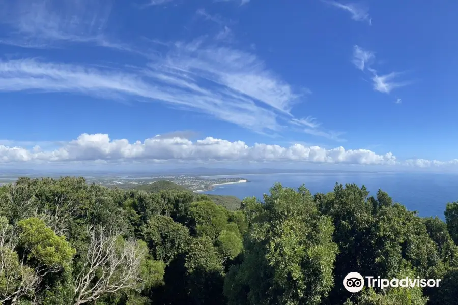 Cape Hawke lookout