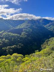 Mahana Ridge Trail