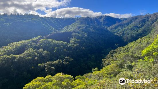 Mahana Ridge Trail