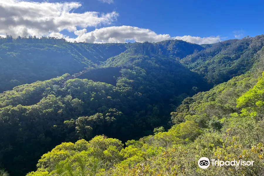 Mahana Ridge Trail