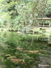 Mitarashi Pond