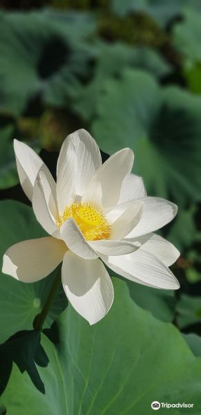 Flüge Jeju Muan