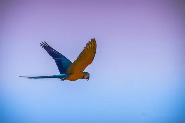 Zoologico Municipal Noel Kempff Mercado