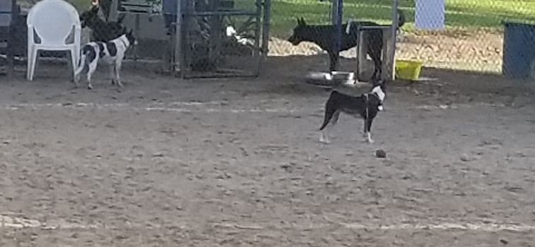 Harry Griffen Park