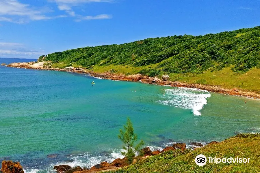 Praia do Rosa Beach