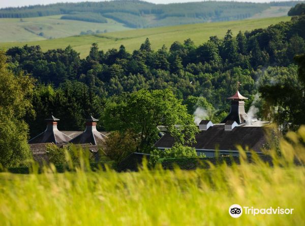 Glenfiddich Distillery