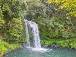 Jion Falls