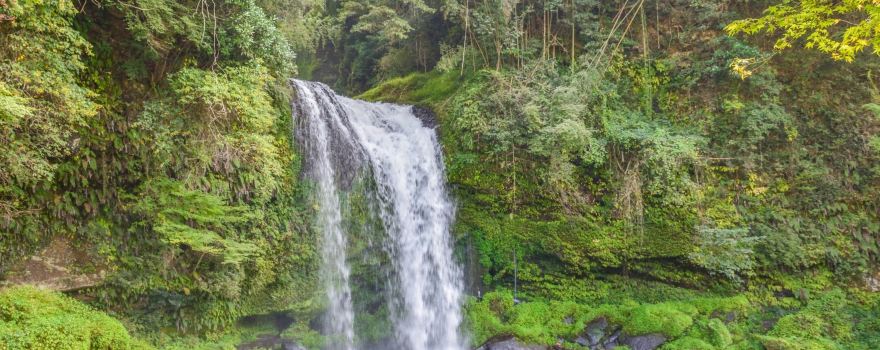 Jion Falls