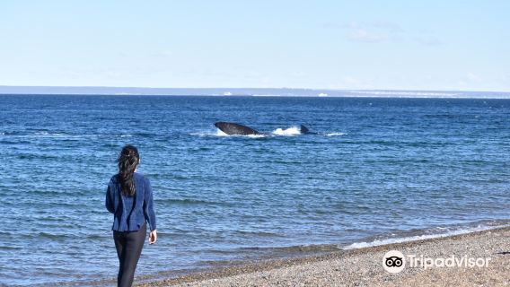 Playa Las Canteras