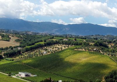 Tenuta Arabona