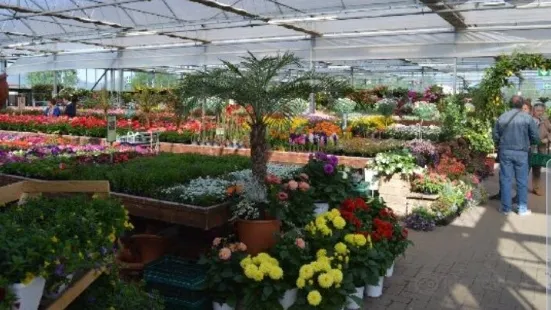 Greenhouse Garden Center