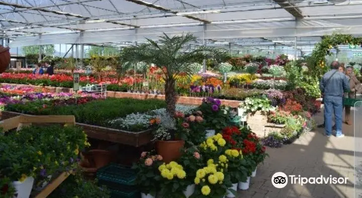 Greenhouse Garden Center